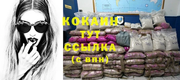 дживик Михайловск