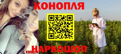 сатива Кинель