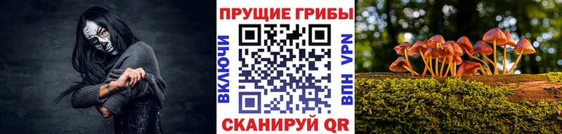 Псилоцибиновые грибы Psilocybine cubensis  где найти   Кострома 