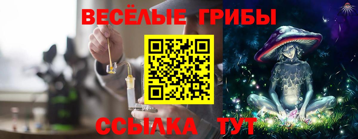 Псилоцибиновые грибы Psilocybe  Вход с VPN  Кострома  Галлюциногенные грибы Cubensis 