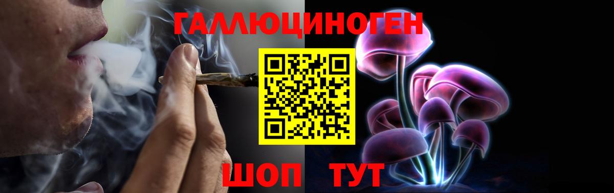 Псилоцибиновые грибы мухоморы Кострома